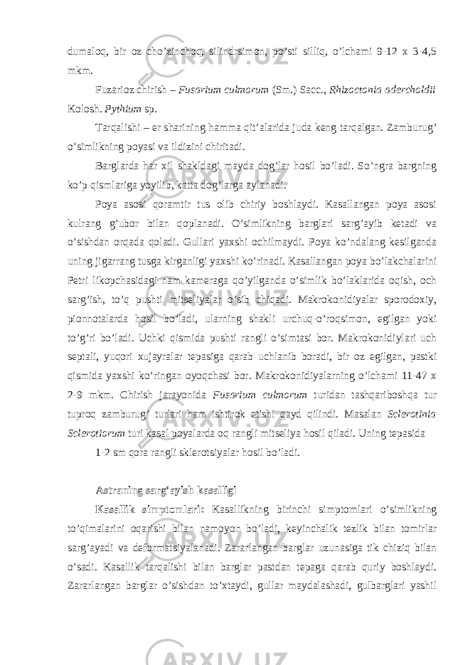 dumaloq, bir oz cho’zinchoq, silindrsimon, po’sti silliq, o’lchami 9-12 x 3-4,5 mkm. Fuzarioz chirish – Fusarium culmorum (Sm.) Sacc., Rhizoctonia adercholdii Kolosh . Pythium sp . Tarqalishi – er sharining hamma qit’alarida juda keng tarqalgan. Zamburug’ o’simlikning poyasi va ildizini chiritadi. Barglarda har xil shakldagi mayda dog’lar hosil bo’ladi. So’ngra bargning ko’p qismlariga yoyilib, katta dog’larga aylanadi. Poya asosi qoramtir tus olib chiriy boshlaydi. Kasallangan poya asosi kulrang g’ubor bilan qoplanadi. O’simlikning barglari sarg’ayib ketadi va o’sishdan orqada qoladi. Gullari yaxshi ochilmaydi. Poya ko’ndalang kesilganda uning jigarrang tusga kirganligi yaxshi ko’rinadi. Kasallangan poya bo’lakchalarini Petri likopchasidagi nam kameraga qo’yilganda o’simlik bo’laklarida oqish, och sarg’ish, to’q pushti mitseliyalar o’sib chiqadi. Makrokonidiyalar sporodoxiy, pionnotalarda hosil bo’ladi, ularning shakli urchuq-o’roqsimon, egilgan yoki to’g’ri bo’ladi. Uchki qismida pushti rangli o’simtasi bor. Makrokonidiylari uch septali, yuqori xujayralar tepasiga qarab uchlanib boradi, bir oz egilgan, pastki qismida yaxshi ko’ringan oyoqchasi bor. Makrokonidiyalarning o’lchami 11-47 x 2-9 mkm. Chirish jarayonida Fusarium culmorum turidan tashqariboshqa tur tuproq zamburug’ turlari ham ishtirok etishi qayd qilindi. Masalan Sclerotinia Sclerotiorum turi kasal poyalarda oq rangli mitseliya hosil qiladi. Uning tepasida 1-2 sm qora rangli sklerotsiyalar hosil bo’ladi. Astraning sarg’ayish kasalligi Kasallik simptomlari: Kasallikning birinchi simptomlari o’simlikning to’qimalarini oqarishi bilan namoyon bo’ladi, keyinchalik tezlik bilan tomirlar sarg’ayadi va deformatsiyalanadi. Zararlangan barglar uzunasiga tik chiziq bilan o’sadi. Kasallik tarqalishi bilan barglar pastdan tepaga qarab quriy boshlaydi. Zararlangan barglar o’sishdan to’xtaydi, gullar maydalashadi, gulbarglari yashil 