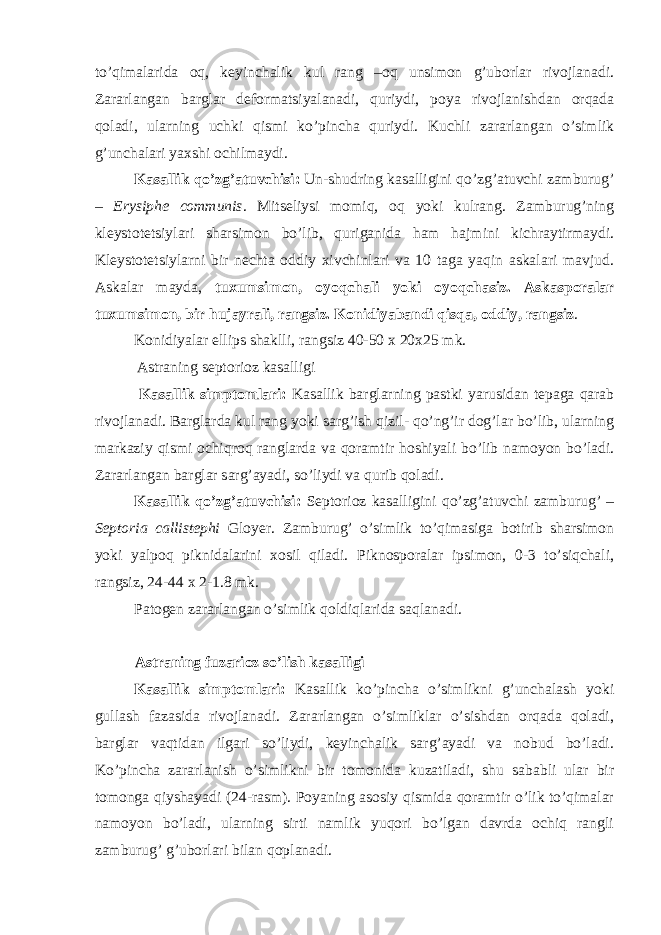 to’qimalarida oq, keyinchalik kul rang –oq unsimon g’uborlar rivojlanadi. Zararlangan barglar deformatsiyalanadi, quriydi, poya rivojlanishdan orqada qoladi, ularning uchki qismi ko’pincha quriydi. Kuchli zararlangan o’simlik g’unchalari yaxshi ochilmaydi. Kasallik qo’zg’atuvchisi: Un-shudring kasalligini qo’zg’atuvchi zamburug’ – Erysiphe communis . Mitseliysi momiq, oq yoki kulrang. Zamburug’ning kleystotetsiylari sharsimon bo’lib, quriganida ham hajmini kichraytirmaydi. Kleystotetsiylarni bir nechta oddiy xivchinlari va 10 taga yaqin askalari mavjud. Askalar mayda, tuxumsimon, oyoqchali yoki oyoqchasiz. Askasporalar tuxumsimon, bir hujayrali, rangsiz. Konidiyabandi qisqa, oddiy, rangsiz . Konidiyalar ellips shaklli, rangsiz 40-50 x 20x25 mk. Astraning septorioz kasalligi Kasallik simptomlari: Kasallik barglarning pastki yarusidan tepaga qarab rivojlanadi. Barglarda kul rang yoki sarg’ish qizil- qo’ng’ir dog’lar bo’lib, ularning markaziy qismi ochiqroq ranglarda va qoramtir hoshiyali bo’lib namoyon bo’ladi. Zararlangan barglar sarg’ayadi, so’liydi va qurib qoladi. Kasallik qo’zg’atuvchisi: Septorioz kasalligini qo’zg’atuvchi zamburug’ – Septoria callistephi Gloyer. Zamburug’ o’simlik to’qimasiga botirib sharsimon yoki yalpoq piknidalarini xosil qiladi. Piknosporalar ipsimon, 0-3 to’siqchali, rangsiz, 24-44 x 2-1.8 mk. Patogen zararlangan o’simlik qoldiqlarida saqlanadi. Astraning fuzarioz so’lish kasalligi Kasallik simptomlari: Kasallik ko’pincha o’simlikni g’unchalash yoki gullash fazasida rivojlanadi. Zararlangan o’simliklar o’sishdan orqada qoladi, barglar vaqtidan ilgari so’liydi, keyinchalik sarg’ayadi va nobud bo’ladi. Ko’pincha zararlanish o’simlikni bir tomonida kuzatiladi, shu sababli ular bir tomonga qiyshayadi (24-rasm). Poyaning asosiy qismida qoramtir o’lik to’qimalar namoyon bo’ladi, ularning sirti namlik yuqori bo’lgan davrda ochiq rangli zamburug’ g’uborlari bilan qoplanadi. 