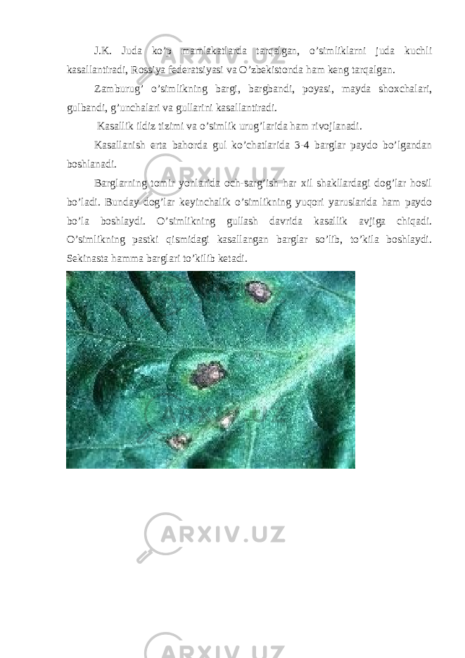 J.K. Juda ko’p mamlakatlarda tarqalgan, o’simliklarni juda kuchli kasallantiradi, Rossiya federatsiyasi va O’zbekistonda ham keng tarqalgan. Zamburug’ o’simlikning bargi, bargbandi, poyasi, mayda shoxchalari, gulbandi, g’unchalari va gullarini kasallantiradi. Kasallik ildiz tizimi va o’simlik urug’larida ham rivojlanadi. Kasallanish erta bahorda gul ko’chatlarida 3-4 barglar paydo bo’lgandan boshlanadi. Barglarning tomir yonlarida och-sarg’ish har xil shakllardagi dog’lar hosil bo’ladi. Bunday dog’lar keyinchalik o’simlikning yuqori yaruslarida ham paydo bo’la boshlaydi. O’simlikning gullash davrida kasallik avjiga chiqadi. O’simlikning pastki qismidagi kasallangan barglar so’lib, to’kila boshlaydi. Sekinasta hamma barglari to’kilib ketadi. 