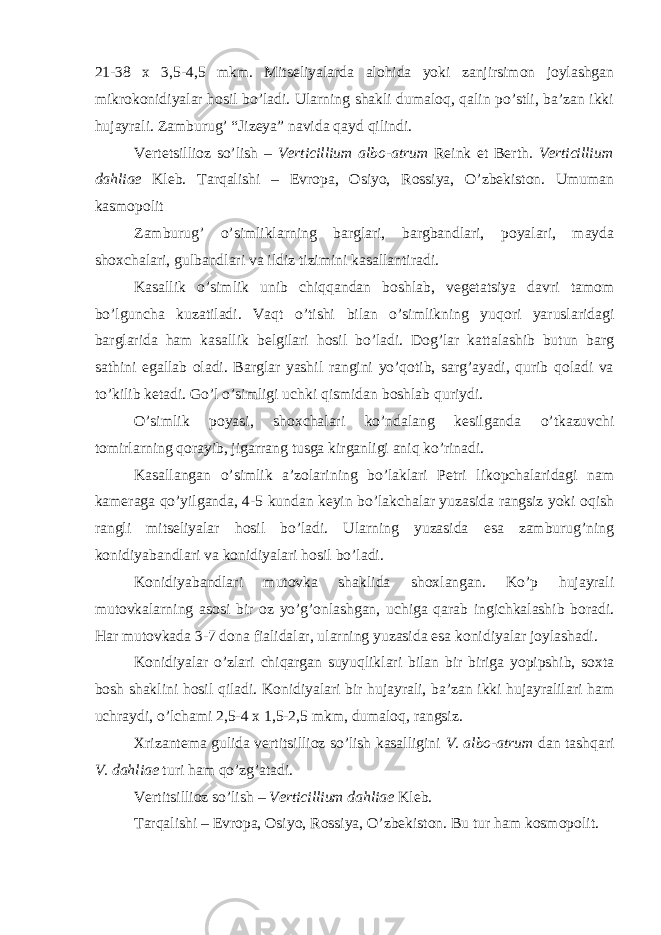 21-38 x 3,5-4,5 mkm. Mitseliyalarda alohida yoki zanjirsimon joylashgan mikrokonidiyalar hosil bo’ladi. Ularning shakli dumaloq, qalin po’stli, ba’zan ikki hujayrali. Zamburug’ “Jizeya” navida qayd qilindi. Vertetsillioz so’lish – Verticillium albo-atrum Reink et Berth . Verticillium dahliae Kleb. Tarqalishi – Evropa, Osiyo, Rossiya, O’zbekiston. Umuman kasmopolit Zamburug’ o’simliklarning barglari, bargbandlari, poyalari, mayda shoxchalari, gulbandlari va ildiz tizimini kasallantiradi. Kasallik o’simlik unib chiqqandan boshlab, vegetatsiya davri tamom bo’lguncha kuzatiladi. Vaqt o’tishi bilan o’simlikning yuqori yaruslaridagi barglarida ham kasallik belgilari hosil bo’ladi. Dog’lar kattalashib butun barg sathini egallab oladi. Barglar yashil rangini yo’qotib, sarg’ayadi, qurib qoladi va to’kilib ketadi. Go’l o’simligi uchki qismidan boshlab quriydi. O’simlik poyasi, shoxchalari ko’ndalang kesilganda o’tkazuvchi tomirlarning qorayib, jigarrang tusga kirganligi aniq ko’rinadi. Kasallangan o’simlik a’zolarining bo’laklari Petri likopchalaridagi nam kameraga qo’yilganda, 4-5 kundan keyin bo’lakchalar yuzasida rangsiz yoki oqish rangli mitseliyalar hosil bo’ladi. Ularning yuzasida esa zamburug’ning konidiyabandlari va konidiyalari hosil bo’ladi. Konidiyabandlari mutovka shaklida shoxlangan. Ko’p hujayrali mutovkalarning asosi bir oz yo’g’onlashgan, uchiga qarab ingichkalashib boradi. Har mutovkada 3-7 dona fialidalar, ularning yuzasida esa konidiyalar joylashadi. Konidiyalar o’zlari chiqargan suyuqliklari bilan bir biriga yopipshib, soxta bosh shaklini hosil qiladi. Konidiyalari bir hujayrali, ba’zan ikki hujayralilari ham uchraydi, o’lchami 2,5-4 x 1,5-2,5 mkm, dumaloq, rangsiz. Xrizantema gulida vertitsillioz so’lish kasalligini V. albo-atrum dan tashqari V. dahliae turi ham qo’zg’atadi. Vertitsillioz so’lish – Verticillium dahliae Kleb. Tarqalishi – Evropa, Osiyo, Rossiya, O’zbekiston. Bu tur ham kosmopolit. 