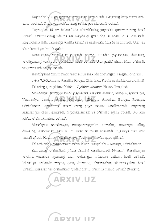 Keyinchalik u yo’g’onroq tomirlarga ham o’tadi. Bargning ko’p qismi och- sariq us oladi. Qisqa vaqt ichida barg so’lib, poyada osilib qoladi. Tuproqdan 10 sm balandlikda o’simlikning poyasida qoramtir rang hosil bo’ladi. O’simlikning ildizida esa mayda qizg’ish dog’lar hosil bo’la boshlaydi. Keyinchalik ildiz uzunasiga yorilib ketadi va sekin-asta ildiz to’la chiriydi. Ular tez sinib ketadigan bo’lib qoladi. Kasallangan to’qimalar yuzasida tarqoq, bittadan joylashgan, dumaloq, to’qjigarrang yoki qora piknidalar hosil bo’ladi. Ular pastki qismi bilan o’simlik to’qimasi ichida joylashadi. Konidiyalari tuxumsimon yoki ellips shaklida cho’zilgan, rangsiz, o’lchami 5-9 x 2,5-3,5 mkm. Kasallik Knopa, CHarivka, Fleyta navlarida qayd qilindi Ildizning qora pitioz chirishi – Pythium ultimum Hesse. Tarqalishi – Mongoliya, Xitoy, SHimoliy Amerika, Gavayi orollari, Filippin, Avstraliya, Tasmaniya, Janubiy Afrika, Hindiston, SHarqiy Amerika, Evropa, Rossiya, O’zbekiston. Zamburug’ o’simlikning poya asosini kasallantiradi. Poyaning kasallangan qismi qorayadi, ingichkalashadi va o’simlik egilib qoladi. 3-5 kun ichida o’simlik nobud bo’ladi. Mitseliyasi shoxlangan, zoosporangiyalari dumaloq, oogoniysi silliq, dumaloq, oosporalari ham silliq. Kasallik qulay sharoitda infeksiya manbaini tashkil qiladi. Kasallik “YUbileynaya Tashkent” navida qayd qilindi. Ildiz chirish – Rhizoctonia solani Kuhn . Tarqalishi – Rossiya, O’zbekiston. Zamburug’ o’simlikning ildiz tizimini kasallantiradi (4-rasm). Kasallangan to’qima yuzasida jigarrang, zich joylashgan mitseliya qatlami hosil bo’ladi. Mitseliya oralarida mayda, qora, dumaloq, cho’zinchoq sklerotsiyalari hosil bo’ladi. Kasallangan o’simlikning ildizi chirib, o’simlik nobud bo’ladi (6-rasm). 