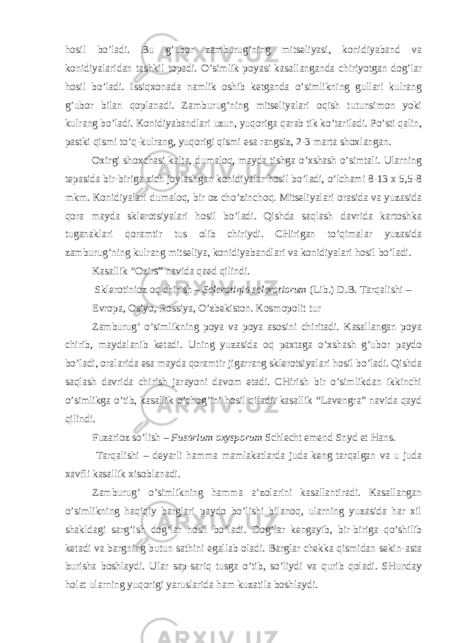 hosil bo’ladi. Bu g’ubor zamburug’ning mitseliyasi, konidiyaband va konidiyalaridan tashkil topadi. O’simlik poyasi kasallanganda chiriyotgan dog’lar hosil bo’ladi. Issiqxonada namlik oshib ketganda o’simlikning gullari kulrang g’ubor bilan qoplanadi. Zamburug’ning mitseliyalari oqish tutunsimon yoki kulrang bo’ladi. Konidiyabandlari uzun, yuqoriga qarab tik ko’tariladi. Po’sti qalin, pastki qismi to’q-kulrang, yuqorigi qismi esa rangsiz, 2-3 marta shoxlangan. Oxirgi shoxchasi kalta, dumaloq, mayda tishga o’xshash o’simtali. Ularning tepasida bir-biriga zich joylashgan konidiyalar hosil bo’ladi, o’lchami 8-13 x 5,5-8 mkm. Konidiyalari dumaloq, bir oz cho’zinchoq. Mitseliyalari orasida va yuzasida qora mayda sklerotsiyalari hosil bo’ladi. Qishda saqlash davrida kartoshka tuganaklari qoramtir tus olib chiriydi. CHirigan to’qimalar yuzasida zamburug’ning kulrang mitseliya, konidiyabandlari va konidiyalari hosil bo’ladi. Kasallik “Ozirs” navida qaed qilindi. Sklerotinioz oq chirish – Sclerotinia sclerotiorum (Lib.) D.B. Tarqalishi – Evropa, Osiyo, Rossiya, O’zbekiston. Kosmopolit tur Zamburug’ o’simlikning poya va poya asosini chiritadi. Kasallangan poya chirib, maydalanib ketadi. Uning yuzasida oq paxtaga o’xshash g’ubor paydo bo’ladi, oralarida esa mayda qoramtir jigarrang sklerotsiyalari hosil bo’ladi. Qishda saqlash davrida chirish jarayoni davom etadi. CHirish bir o’simlikdan ikkinchi o’simlikga o’tib, kasallik o’chog’ini hosil qiladi. kasallik “Lavengra” navida qayd qilindi. Fuzarioz so’lish – Fusarium oxysporum Schlecht emend Snyd et Hans . Tarqalishi – deyarli hamma mamlakatlarda juda keng tarqalgan va u juda xavfli kasallik xisoblanadi. Zamburug’ o’simlikning hamma a’zolarini kasallantiradi. Kasallangan o’simlikning haqiqiy barglari paydo bo’lishi bilanoq, ularning yuzasida har xil shakldagi sarg’ish dog’lar hosil bo’ladi. Dog’lar kengayib, bir-biriga qo’shilib ketadi va bargning butun sathini egallab oladi. Barglar chekka qismidan sekin-asta burisha boshlaydi. Ular sap-sariq tusga o’tib, so’liydi va qurib qoladi. SHunday holat ularning yuqorigi yaruslarida ham kuzatila boshlaydi. 