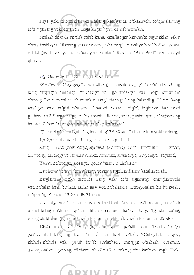 Poya yoki shoxchalari ko’ndalang kesilganda o’tkazuvchi to’qimalarning to’q-jigarrang yoki qoramtir tusga kirganligini ko’rish mumkin. Saqlash davrida namlik oshib ketsa, kasallangan kartoshka tugunaklari sekin chiriy boshlaydi. Ularning yuzasida och pushti rangli mitseliya hosil bo’ladi va shu chirish joyi infeksiya manbaiga aylanib qoladi. Kasallik “Blek Berd” navida qayd qilindi. 7 - §. Dianthus L . – CHinnigul kasalliklari Dianthus – Coryophyllaceae oilasiga mansub ko’p yillik o’simlik. Uning keng tarqalgan turlariga “turetskiy” va “gollandskiy” yoki bog’ remontant chinnigullarini misol qilish mumkin. Bog’ chinnigulining balandligi 70 sm, keng yoyilgan yoki to’g’ri o’suvchi. Poyalari baland, to’g’ri, ingichka, har qaysi gulbandida 3-8 tagacha gullar joylashadi. Ular oq, sariq, pushti, qizil, binafsharang bo’ladi. O’simlik urug’ va qalamcha bilan ko’payadi. “Turetskiy” chinnigulining balandligi 35-50 sm. Gullari oddiy yoki serbarg, 1,5-2,5 sm diametrli. U urug’ bilan ko’paytiriladi. Zang – Uromyces caryophyllinus (Schrank) Wint. Tarqalishi – Evropa, SHimoliy, SHarqiy va Janubiy Afrika, Amerika, Avstraliya, YAponiya, Tayland, YAngi Zelandiya, Rossiya, Qozog’iston, O’zbekiston. Zamburug’ o’simlikning bargi, poyasi va gulbandlarini kasallantiradi. Barglarning ustki qismida zang yoki to’q jigarrang, changlanuvchi yostiqchalar hosil bo’ladi. Bular esiy yostiqchalaridir. Esiosporalari bir hujayrali, to’q sariq, o’lchami 18-27 x 15-21 mkm. Urediniya yostiqchalari bargning har ikkala tarafida hosil bo’ladi, u dastlab o’simlikning epidermis qatlami bilan qoplangan bo’ladi. U yorilgandan so’ng, chang shaklidagi jigarrang Urediniosporalari chiqadi. Urediniosporalari 23-35 x 16-23 mkm kattalikda, jigarrang, qalin po’stli, kam tikanli. Teliya yostiqchalari bargning ikkala tarafida ham hosil bo’ladi. YOstiqchalar tarqoq, alohida-alohida yoki guruh bo’lib joylashadi, changga o’xshash, qoramtir. Teliosporalari jigarrang, o’lchami 20-27 x 15-21 mkm, po’sti kashtan rangli. Ustki 