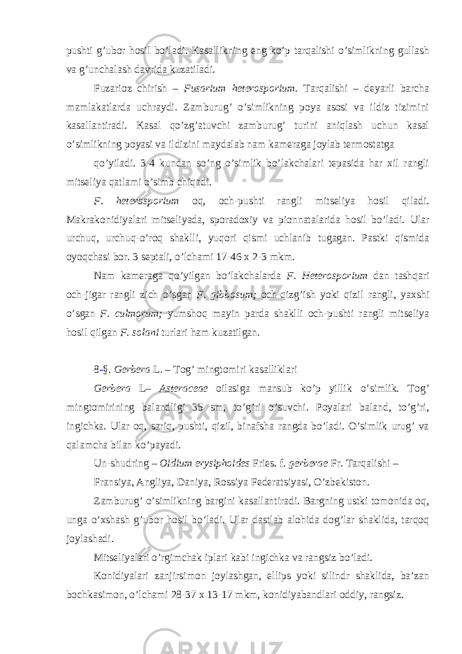 pushti g’ubor hosil bo’ladi. Kasallikning eng ko’p tarqalishi o’simlikning gullash va g’unchalash davrida kuzatiladi. Fuzarioz chirish – Fusarium heterosporium . Tarqalishi – deyarli barcha mamlakatlarda uchraydi. Zamburug’ o’simlikning poya asosi va ildiz tizimini kasallantiradi. Kasal qo’zg’atuvchi zamburug’ turini aniqlash uchun kasal o’simlikning poyasi va ildizini maydalab nam kameraga joylab termostatga qo’yiladi. 3-4 kundan so’ng o’simlik bo’lakchalari tepasida har xil rangli mitseliya qatlami o’simb chiqadi. F. heterosporium oq, och-pushti rangli mitseliya hosil qiladi. Makrakonidiyalari mitseliyada, sporadoxiy va pionnatalarida hosil bo’ladi. Ular urchuq, urchuq-o’roq shaklli, yuqori qismi uchlanib tugagan. Pastki qismida oyoqchasi bor. 3 septali, o’lchami 17-46 x 2-3 mkm. Nam kameraga qo’yilgan bo’lakchalarda F. Heterosporium dan tashqari och-jigar rangli zich o’sgan F. gibbosum; och-qizg’ish yoki qizil rangli, yaxshi o’sgan F. culmorum; yumshoq mayin parda shaklli och-pushti rangli mitseliya hosil qilgan F. solani turlari ham kuzatilgan. 8 - §. Gerbera L . – Tog’ mingtomiri kasalliklari Gerbera L – Asteraceae oilasiga mansub ko’p yillik o’simlik. Tog’ mingtomirining balandligi 35 sm, to’g’ri o’suvchi. Poyalari baland, to’g’ri, ingichka. Ular oq, sariq, pushti, qizil, binafsha rangda bo’ladi. O’simlik urug’ va qalamcha bilan ko’payadi. Un-shudring – Oidium erysiphoides Fries. f . gerberae Fr . Tarqalishi – Fransiya, Angliya, Daniya, Rossiya Federatsiyasi, O’zbekiston. Zamburug’ o’simlikning bargini kasallantiradi. Bargning ustki tomonida oq, unga o’xshash g’ubor hosil bo’ladi. Ular dastlab alohida dog’lar shaklida, tarqoq joylashadi. Mitseliyalari o’rgimchak iplari kabi ingichka va rangsiz bo’ladi. Konidiyalari zanjirsimon joylashgan, ellips yoki silindr shaklida, ba’zan bochkasimon, o’lchami 28-37 x 13-17 mkm, konidiyabandlari oddiy, rangsiz. 