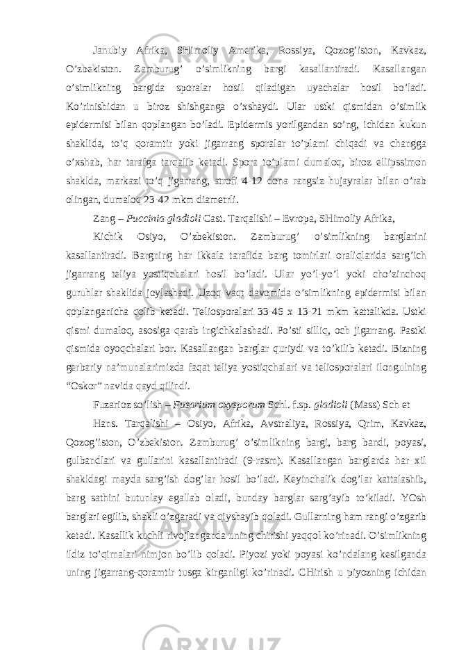 Janubiy Afrika, SHimoliy Amerika, Rossiya, Qozog’iston, Kavkaz, O’zbekiston. Zamburug’ o’simlikning bargi kasallantiradi. Kasallangan o’simlikning bargida sporalar hosil qiladigan uyachalar hosil bo’ladi. Ko’rinishidan u biroz shishganga o’xshaydi. Ular ustki qismidan o’simlik epidermisi bilan qoplangan bo’ladi. Epidermis yorilgandan so’ng, ichidan kukun shaklida, to’q qoramtir yoki jigarrang sporalar to’plami chiqadi va changga o’xshab, har tarafga tarqalib ketadi. Spora to’plami dumaloq, biroz ellipssimon shaklda, markazi to’q jigarrang, atrofi 4-12 dona rangsiz hujayralar bilan o’rab olingan, dumaloq 23-42 mkm diametrli. Zang – Puccinia gladioli Cast. Tarqalishi – Evropa, SHimoliy Afrika, Kichik Osiyo, O’zbekiston. Zamburug’ o’simlikning barglarini kasallantiradi. Bargning har ikkala tarafida barg tomirlari oraliqlarida sarg’ich jigarrang teliya yostiqchalari hosil bo’ladi. Ular yo’l-yo’l yoki cho’zinchoq guruhlar shaklida joylashadi. Uzoq vaqt davomida o’simlikning epidermisi bilan qoplanganicha qolib ketadi. Teliosporalari 33-46 x 13-21 mkm kattalikda. Ustki qismi dumaloq, asosiga qarab ingichkalashadi. Po’sti silliq, och jigarrang. Pastki qismida oyoqchalari bor. Kasallangan barglar quriydi va to’kilib ketadi. Bizning gerbariy na’munalarimizda faqat teliya yostiqchalari va teliosporalari ilongulning “Oskor” navida qayd qilindi. Fuzarioz so’lish – Fusarium oxysporum Schl. f.sp. gladioli (Mass) Sch et Hans. Tarqalishi – Osiyo, Afrika, Avstraliya, Rossiya, Qrim, Kavkaz, Qozog’iston, O’zbekiston. Zamburug’ o’simlikning bargi, barg bandi, poyasi, gulbandlari va gullarini kasallantiradi (9-rasm). Kasallangan barglarda har xil shakldagi mayda sarg’ish dog’lar hosil bo’ladi. Keyinchalik dog’lar kattalashib, barg sathini butunlay egallab oladi, bunday barglar sarg’ayib to’kiladi. YOsh barglari egilib, shakli o’zgaradi va qiyshayib qoladi. Gullarning ham rangi o’zgarib ketadi. Kasallik kuchli rivojlanganda uning chirishi yaqqol ko’rinadi. O’simlikning ildiz to’qimalari nimjon bo’lib qoladi. Piyozi yoki poyasi ko’ndalang kesilganda uning jigarrang-qoramtir tusga kirganligi ko’rinadi. CHirish u piyozning ichidan 