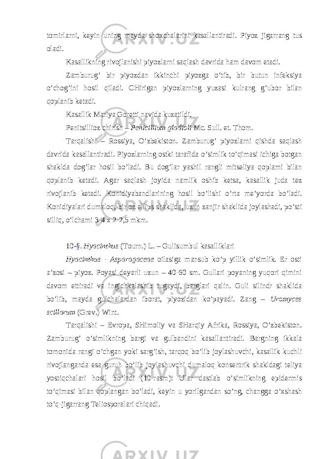 tomirlarni, keyin uning mayda shoxchalarini kasallantiradi. Piyoz jigarrang tus oladi. Kasallikning rivojlanishi piyozlarni saqlash davrida ham davom etadi. Zamburug’ bir piyozdan ikkinchi piyozga o’tib, bir butun infeksiya o’chog’ini hosil qiladi. CHirigan piyozlarning yuzasi kulrang g’ubor bilan qoplanib ketadi. Kasallik Mariya Goretti navida kuzatildi. Penitsillioz chirish – Penicillium gladioli Mc. Sull. et. Thom . Tarqalishi – Rossiya, O’zbekiston. Zamburug’ piyozlarni qishda saqlash davrida kasallantiradi. Piyozlarning ostki tarafida o’simlik to’qimasi ichiga botgan shaklda dog’lar hosil bo’ladi. Bu dog’lar yashil rangli mitseliya qoplami bilan qoplanib ketadi. Agar saqlash joyida namlik oshib ketsa, kasallik juda tez rivojlanib ketadi. Konidiyabandlarining hosil bo’lishi o’rta me’yorda bo’ladi. Konidiyalari dumaloq, bir oz ellips shaklida, uzun zanjir shaklida joylashadi, po’sti silliq, o’lchami 3-4 x 2-2,5 mkm. 10 - §. Hyacinthus (Tourn.) L . – Gulisumbul kasalliklari Hyacinthus - Asparagaceae oilasiga mansub ko’p yillik o’simlik. Er osti a’zosi – piyoz. Poyasi deyarli uzun – 40-60 sm. Gullari poyaning yuqori qimini davom ettiradi va ingichkalashib tugaydi, barglari qalin. Guli silindr shaklida bo’lib, mayda gulchalardan iborat, piyozidan ko’payadi. Zang – Uromyces scillarum (Grev.) Wint. Tarqalishi – Evropa, SHimoliy va SHarqiy Afrika, Rossiya, O’zbekiston. Zamburug’ o’simlikning bargi va gulbandini kasallantiradi. Bargning ikkala tomonida rangi o’chgan yoki sarg’ish, tarqoq bo’lib joylashuvchi, kasallik kuchli rivojlanganda esa guruh bo’lib joylashuvchi dumaloq konsentrik shakldagi teliya yostiqchalari hosil bo’ladi (10-rasm). Ular dastlab o’simlikning epidermis to’qimasi bilan qoplangan bo’ladi, keyin u yorilgandan so’ng, changga o’xshash to’q-jigarrang Teliosporalari chiqadi. 