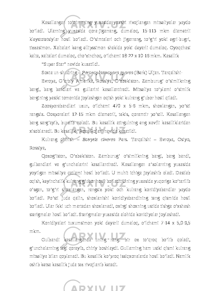 Kasallangan to’qimaning yuzasida yaxshi rivojlangan mitseliyalar paydo bo’ladi. Ularning yuzasida qora-jigarrang, dumaloq, 15-113 mkm diametrli kleystotetsiylar hosil bo’ladi. O’simtalari och jigarrang, to’g’ri yoki egri-bugri, tizzasimon. Xaltalari keng ellipssimon shaklda yoki deyarli dumaloq. Oyoqchasi kalta, xaltalari dumaloq, cho’zinchoq, o’lchami 18-22 x 10-16 mkm. Kasallik “Super Star” navida kuzatildi. Soxta un-shudring – Peronoplasmopara sparsa (Berk) Uljan. Tarqalishi- Evropa, G’arbiy Amerika, Rossiya, O’zbekiston. Zamburug’ o’simlikning bargi, barg bandlari va gullarini kasallantiradi. Mitseliya to’plami o’simlik bargining pastki tomonida joylashgan oqish yoki kulrang g’ubor hosil qiladi. Zoosporabandlari uzun, o’lchami 470 x 5-6 mkm, shoxlangan, po’sti rangsiz. Oosporalari 12-15 mkm diametrli, tekis, qoramtir po’stli. Kasallangan barg sarg’ayib, buralib qoladi. Bu kasallik atirgulning eng xavfli kasalliklaridan xisoblanadi. Bu kasallik “Roza Rojar” navida kuzatildi. Kulrang chirish – Botrytis cinerea Pers. Tarqalishi – Evropa, Osiyo, Rossiya, Qozog’iston, O’zbekiston. Zamburug’ o’simlikning bargi, barg bandi, gulbandlari va g’unchalarini kasallantiradi. Kasallangan a’zolarning yuzasida yoyilgan mitseliya qatlami hosil bo’ladi. U muhit ichiga joylashib oladi. Dastlab oqish, keyinchalik kulrang g’ubor hosil bo’ladi. Uning yuzasida yuqoriga ko’tarilib o’sgan, to’g’ri shoxlangan, rangsiz yoki och kulrang konidiyabandlar paydo bo’ladi. Po’sti juda qalin, shoxlanishi konidiyabandining teng qismida hosil bo’ladi. Ular ikki uch martadan shoxlanadi, oxirgi shoxning ustida tishga o’xshash sterigmalar hosil bo’ladi. Sterigmalar yuzasida alohida konidiyalar joylashadi. Konidiyalari tuxumsimon yoki deyarli dumaloq, o’lchami 7-14 x 5,0-9,5 mkm. Gulbandi kasallanganda uning rangi bir oz to’qroq bo’lib qoladi, g’unchalarning tagi qorayib, chiriy boshlaydi. Gullarning ham ustki qismi kulrang mitseliya bilan qoplanadi. Bu kasallik ko’proq issiqxonalarda hosil bo’ladi. Namlik oshib ketsa kasallik juda tez rivojlanib ketadi. 