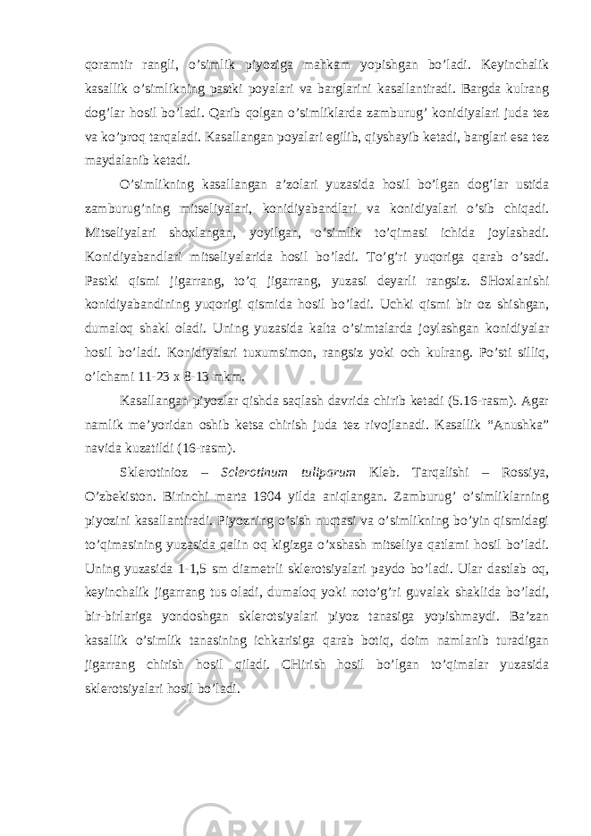 qoramtir rangli, o’simlik piyoziga mahkam yopishgan bo’ladi. Keyinchalik kasallik o’simlikning pastki poyalari va barglarini kasallantiradi. Bargda kulrang dog’lar hosil bo’ladi. Qarib qolgan o’simliklarda zamburug’ konidiyalari juda tez va ko’proq tarqaladi. Kasallangan poyalari egilib, qiyshayib ketadi, barglari esa tez maydalanib ketadi. O’simlikning kasallangan a’zolari yuzasida hosil bo’lgan dog’lar ustida zamburug’ning mitseliyalari, konidiyabandlari va konidiyalari o’sib chiqadi. Mitseliyalari shoxlangan, yoyilgan, o’simlik to’qimasi ichida joylashadi. Konidiyabandlari mitseliyalarida hosil bo’ladi. To’g’ri yuqoriga qarab o’sadi. Pastki qismi jigarrang, to’q jigarrang, yuzasi deyarli rangsiz. SHoxlanishi konidiyabandining yuqorigi qismida hosil bo’ladi. Uchki qismi bir oz shishgan, dumaloq shakl oladi. Uning yuzasida kalta o’simtalarda joylashgan konidiyalar hosil bo’ladi. Konidiyalari tuxumsimon, rangsiz yoki och kulrang. Po’sti silliq, o’lchami 11-23 x 8-13 mkm. Kasallangan piyozlar qishda saqlash davrida chirib ketadi (5.16-rasm). Agar namlik me’yoridan oshib ketsa chirish juda tez rivojlanadi. Kasallik “Anushka” navida kuzatildi (16-rasm). Sklerotinioz – Sclerotinum tuliparum Kleb . Tarqalishi – Rossiya, O’zbekiston. Birinchi marta 1904 yilda aniqlangan. Zamburug’ o’simliklarning piyozini kasallantiradi. Piyozning o’sish nuqtasi va o’simlikning bo’yin qismidagi to’qimasining yuzasida qalin oq kigizga o’xshash mitseliya qatlami hosil bo’ladi. Uning yuzasida 1-1,5 sm diametrli sklerotsiyalari paydo bo’ladi. Ular dastlab oq, keyinchalik jigarrang tus oladi, dumaloq yoki noto’g’ri guvalak shaklida bo’ladi, bir-birlariga yondoshgan sklerotsiyalari piyoz tanasiga yopishmaydi. Ba’zan kasallik o’simlik tanasining ichkarisiga qarab botiq, doim namlanib turadigan jigarrang chirish hosil qiladi. CHirish hosil bo’lgan to’qimalar yuzasida sklerotsiyalari hosil bo’ladi. 