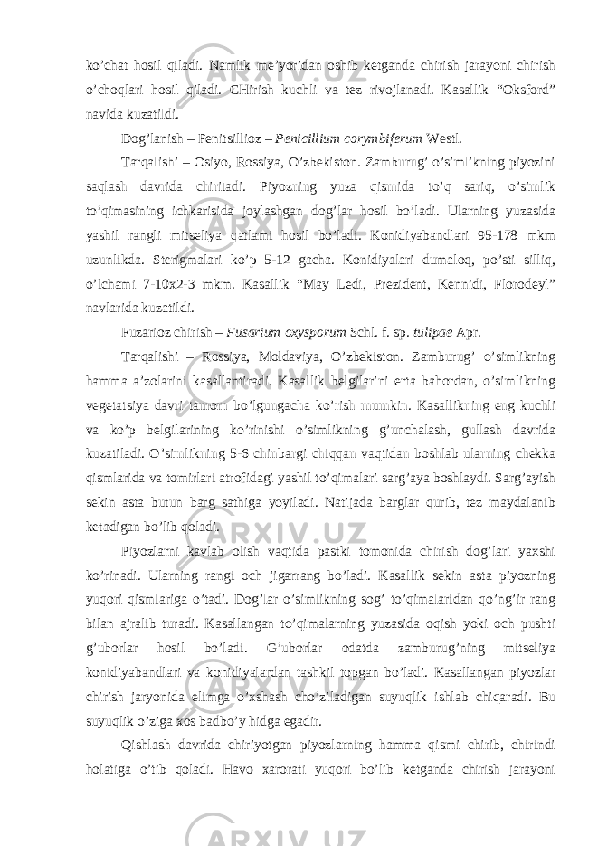 ko’chat hosil qiladi. Namlik me’yoridan oshib ketganda chirish jarayoni chirish o’choqlari hosil qiladi. CHirish kuchli va tez rivojlanadi. Kasallik “Oksford” navida kuzatildi. Dog’lanish – Penitsillioz – Penicillium corymbiferum Westl. Tarqalishi – Osiyo, Rossiya, O’zbekiston. Zamburug’ o’simlikning piyozini saqlash davrida chiritadi. Piyozning yuza qismida to’q sariq, o’simlik to’qimasining ichkarisida joylashgan dog’lar hosil bo’ladi. Ularning yuzasida yashil rangli mitseliya qatlami hosil bo’ladi. Konidiyabandlari 95-178 mkm uzunlikda. Sterigmalari ko’p 5-12 gacha. Konidiyalari dumaloq, po’sti silliq, o’lchami 7-10x2-3 mkm. Kasallik “May Ledi, Prezident, Kennidi, Florodeyl” navlarida kuzatildi. Fuzarioz chirish – Fusarium oxysporum Schl. f. sp . tulipae Apr. Tarqalishi – Rossiya, Moldaviya, O’zbekiston. Zamburug’ o’simlikning hamma a’zolarini kasallantiradi. Kasallik belgilarini erta bahordan, o’simlikning vegetatsiya davri tamom bo’lgungacha ko’rish mumkin. Kasallikning eng kuchli va ko’p belgilarining ko’rinishi o’simlikning g’unchalash, gullash davrida kuzatiladi. O’simlikning 5-6 chinbargi chiqqan vaqtidan boshlab ularning chekka qismlarida va tomirlari atrofidagi yashil to’qimalari sarg’aya boshlaydi. Sarg’ayish sekin asta butun barg sathiga yoyiladi. Natijada barglar qurib, tez maydalanib ketadigan bo’lib qoladi. Piyozlarni kavlab olish vaqtida pastki tomonida chirish dog’lari yaxshi ko’rinadi. Ularning rangi och jigarrang bo’ladi. Kasallik sekin asta piyozning yuqori qismlariga o’tadi. Dog’lar o’simlikning sog’ to’qimalaridan qo’ng’ir rang bilan ajralib turadi. Kasallangan to’qimalarning yuzasida oqish yoki och pushti g’uborlar hosil bo’ladi. G’uborlar odatda zamburug’ning mitseliya konidiyabandlari va konidiyalardan tashkil topgan bo’ladi. Kasallangan piyozlar chirish jaryonida elimga o’xshash cho’ziladigan suyuqlik ishlab chiqaradi. Bu suyuqlik o’ziga xos badbo’y hidga egadir. Qishlash davrida chiriyotgan piyozlarning hamma qismi chirib, chirindi holatiga o’tib qoladi. Havo xarorati yuqori bo’lib ketganda chirish jarayoni 