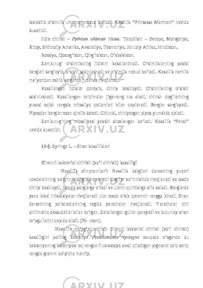 tezlashib o’simlik umuman nobud bo’ladi. Kasallik “Prinsessa Marmant” navida kuzatildi. Ildiz chirish – Pythium ultimum Hesse. Tarqalishi – Evropa, Mongoliya, Xitoy, SHimoliy Amerika, Avstraliya, Tasmaniya, Janubiy Afrika, Hindiston, Rossiya, Qozog’iston, Qirg’iziston, O’zbekiston. Zamburug’ o’simlikning ildizini kasallantiradi. O’simliklarning pastki barglari sarg’ayib, o’sishi sekinlashadi va o’simlik nobud bo’ladi. Kasallik namlik me’yoridan oshib ketganda juda tez rivojlanadi. Kasallangan ildizlar qorayib, chiriy boshlaydi. O’simlikning o’sishi sekinlashadi. Kasallangan to’qimalar jigarrang tus oladi, chirish dog’larining yuzasi oqish rangsiz mitseliya qatlamlari bilan qoplanadi. Barglar sarg’ayadi. Piyozdan barglar oson ajralib ketadi. CHunki, chiriyotgan piyoz yumshab qoladi. Zamburug’ning mitseliyasi yaxshi shoxlangan bo’ladi. Kasallik “Parad” navida kuzatildi. 19 - §. Syringa L. – Siren kasalliklari Sirenni bakterial chirish (xo’l chirish) kasalligi Kasallik simptomlari: Kasallik belgilari daraxtning yuqori novdalarining bo’g’in oralig’ida qoramtir dog’lar ko’rinishida rivojlanadi va tezda chiriy boshlaydi, hamda barglarga o’tadi va ularni quritishga olib keladi. Barglarda yana lokal infektsiyalar rivojlanadi ular tezda o’sib qoramtir rangga kiradi. Siren daraxtining po’stloqlarining tagida yarachalar rivojlanadi. Yarachalar ichi shilimshiq ekssudatlar bilan to’lgan. Zararlangan gullar qorayadi va butunlay siren to’pgullarini qoplab oladi. (25- rasm). Kasallik qo’zg’atuvchisi: Sirenni bakterial chirish (xo’l chirish) kasalligini polifag bakteriya Pseudomonas syringae ozuqada o’sganda bu bakteriyaning koloniyasi oq rangda fluorestsiya xosil qiladigan pigmenti to’q sariq rangda gramm bo’yicha manfiy. 