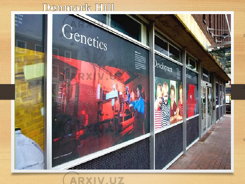 Denmark Hill 