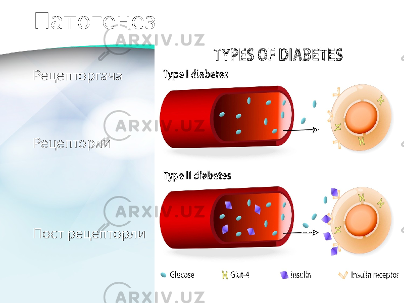 Патогенез Рецепторгача Рецепторли Пост рецепторли 