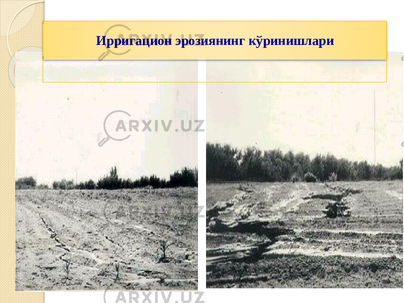 Ирригацион эрозиянинг кўринишлари 