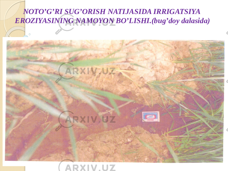NOTO’G’RI SUG’ORISH NATIJASIDA IRRIGATSIYA EROZIYASINING NAMOYON BO’LISHI.(bug’doy dalasida) 