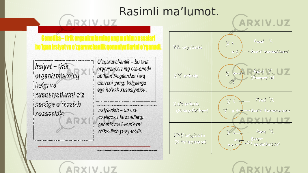 Rasimli ma’lumot. 