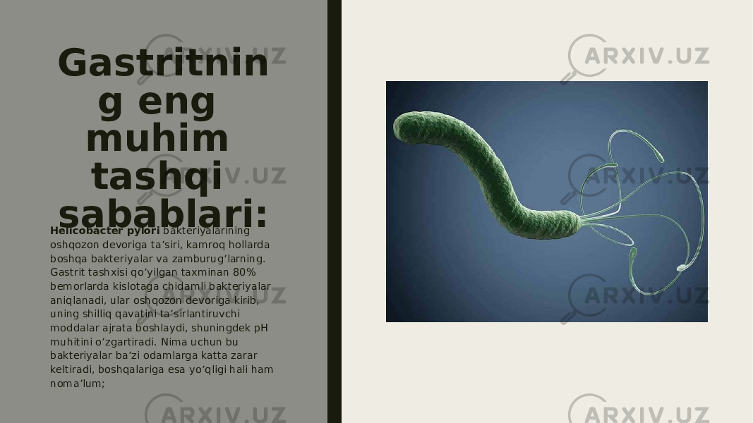 Gastritnin g eng muhim tashqi sabablari: Helicobacter pylori  bakteriyalarining oshqozon devoriga ta’siri, kamroq hollarda boshqa bakteriyalar va zamburug’larning. Gastrit tashxisi qo’yilgan taxminan 80% bemorlarda kislotaga chidamli bakteriyalar aniqlanadi, ular oshqozon devoriga kirib, uning shilliq qavatini ta’sirlantiruvchi moddalar ajrata boshlaydi, shuningdek pH muhitini o’zgartiradi. Nima uchun bu bakteriyalar ba’zi odamlarga katta zarar keltiradi, boshqalariga esa yo’qligi hali ham noma’lum; 