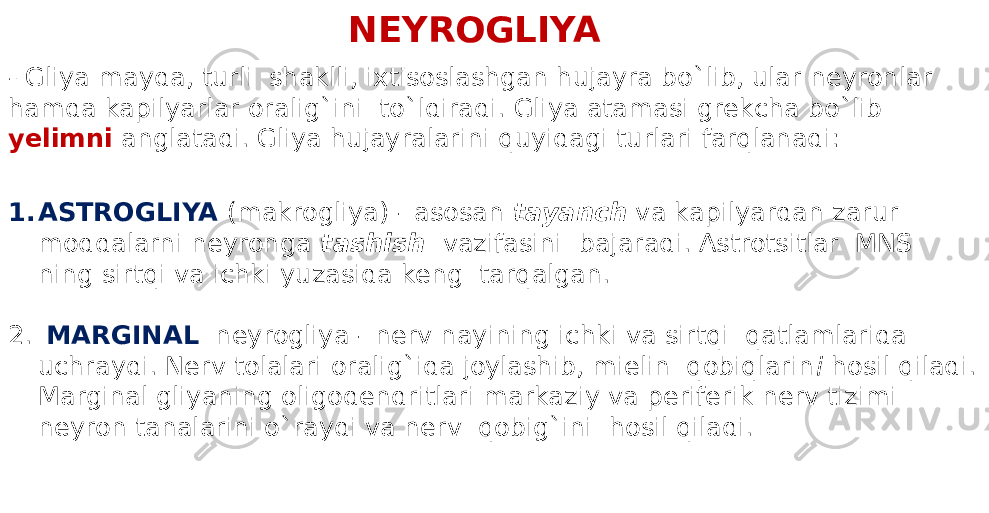 NEYROGLIYA - Gliya mayda, turli shaklli, ixtisoslashgan hujayra bo`lib, ular neyronlar hamda kapilyarlar oralig`ini to`ldiradi. Gliya atamasi grekcha bo`lib yelimni anglatadi. Gliya hujayralarini quyidagi turlari farqlanadi: 1. ASTROGLIYA (makrogliya) - asosan tayanch va kapilyardan zarur moddalarni neyronga tashish vazifasini bajaradi. Astrotsitlar MNS ning sirtqi va ichki yuzasida keng tarqalgan. 2. MARGINAL neyrogliya - nerv nayining ichki va sirtqi qatlamlarida uchraydi. Nerv tolalari oralig`ida joylashib, mielin qobiqlarin i hosil qiladi. Marginal gliyaning oligodendritlari markaziy va periferik nerv tizimi neyron tanalarini o`raydi va nerv qobig`ini hosil qiladi. 