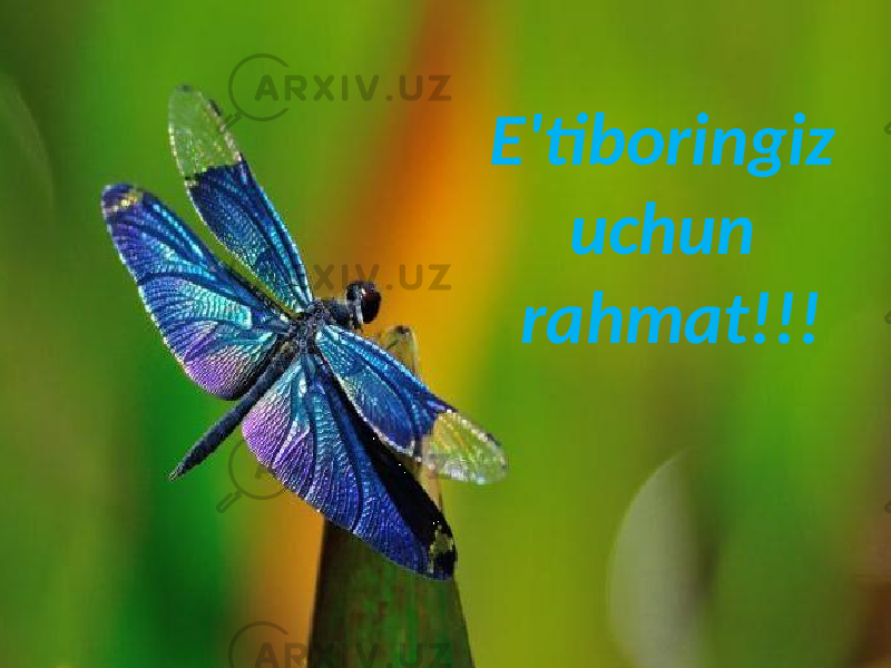 E&#39;tiboringiz uchun rahmat!!! 