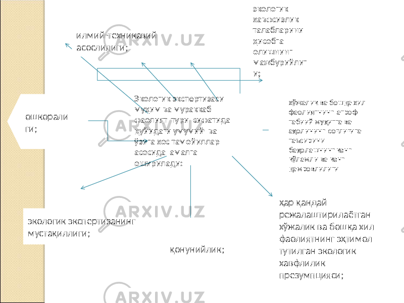 Экологик экспертизаси муҳим ва мураккаб фаолият тури сифатида қуйидаги умумий ва ўзига хос тамойиллар асосида амалга оширилади:илмий-техникавий асослилиги; экологик хавфсизлик талабларини ҳисобга олишнинг мажбурийлиг и; ошкорали ги; экологик экспертизанинг мустақиллиги; қонунийлик; хўжалик ва бошқа хил фаолиятнинг атроф табиий муҳитга ва аҳолининг соғлиғига таъсирини баҳолашнинг кенг кўламли ва кенг қамровлилиги ҳар қандай режалаштирилаётган хўжалик ва бошқа хил фаолиятнинг эҳтимол тутилган экологик хавфлилик презумпцияси; 