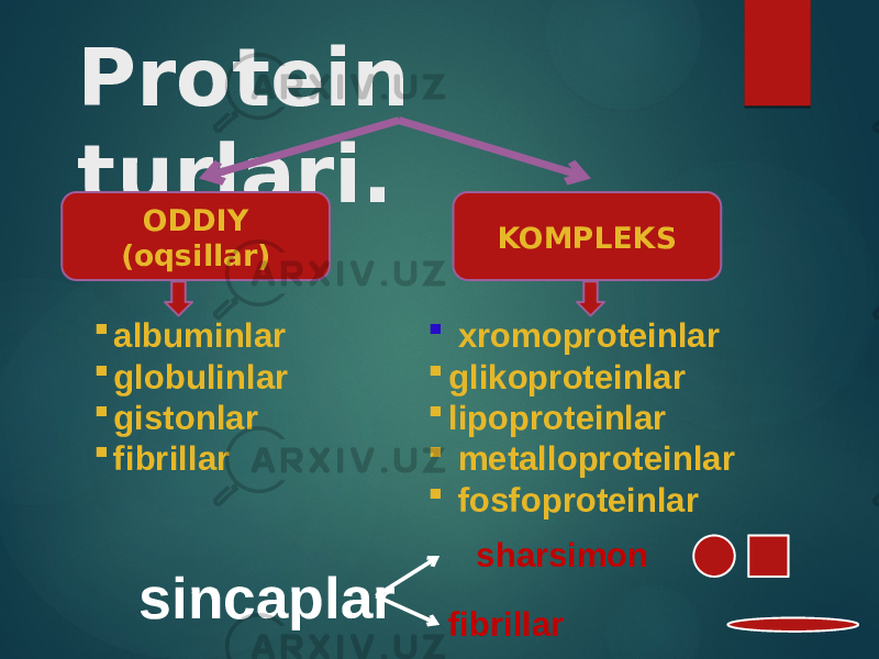 Protein turlari. ODDIY (oqsillar) KOMPLEKS  albuminlar  globulinlar  gistonlar  fibrillar  xromoproteinlar  glikoproteinlar  lipoproteinlar  metalloproteinlar  fosfoproteinlar sincaplar sharsimon fibrillar 