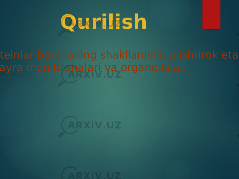 Qurilish Proteinlar barchaning shakllanishida ishtirok etadi hujayra membranalari va organellalar. 