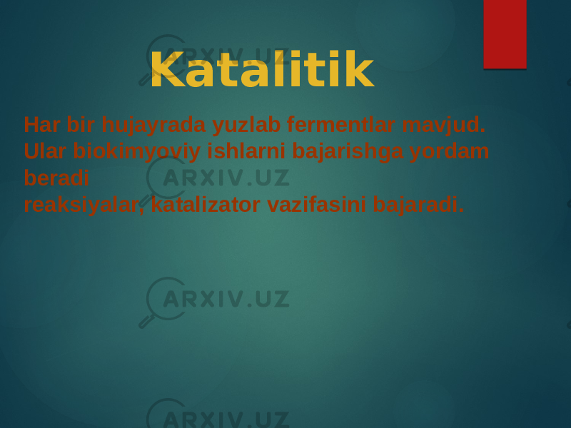 Katalitik Har bir hujayrada yuzlab fermentlar mavjud. Ular biokimyoviy ishlarni bajarishga yordam beradi reaksiyalar, katalizator vazifasini bajaradi. 