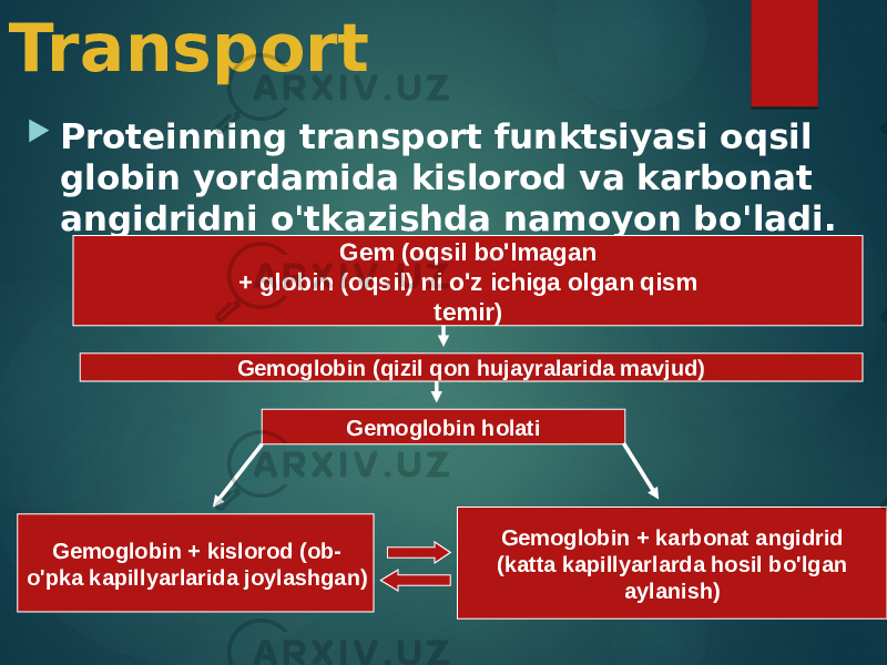 Transport  Proteinning transport funktsiyasi oqsil globin yordamida kislorod va karbonat angidridni o&#39;tkazishda namoyon bo&#39;ladi. Gem (oqsil bo&#39;lmagan + globin (oqsil) ni o&#39;z ichiga olgan qism temir) Gemoglobin (qizil qon hujayralarida mavjud) Gemoglobin holati Gemoglobin + kislorod (ob- o&#39;pka kapillyarlarida joylashgan) Gemoglobin + karbonat angidrid (katta kapillyarlarda hosil bo&#39;lgan aylanish) 