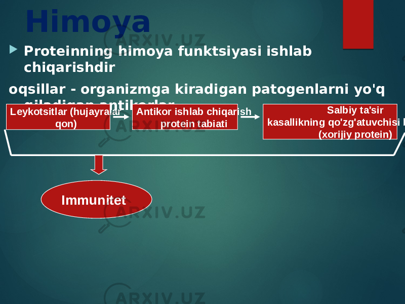 Himoya  Proteinning himoya funktsiyasi ishlab chiqarishdir oqsillar - organizmga kiradigan patogenlarni yo&#39;q qiladigan antikorlar Leykotsitlar (hujayralar qon) Antikor ishlab chiqarish protein tabiati Salbiy ta&#39;sir kasallikning qo&#39;zg&#39;atuvchisi bo&#39;yicha (xorijiy protein) Immunitet 