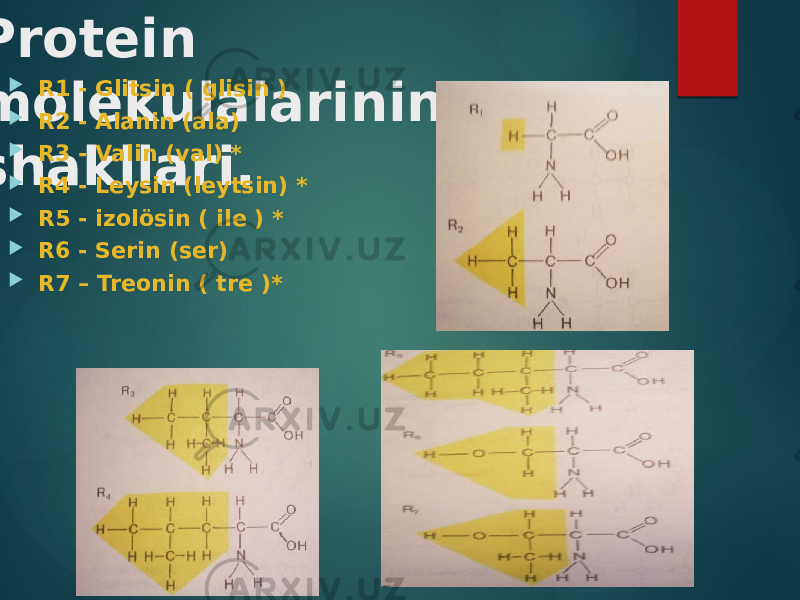  Protein molekulalarining shakllari.  R1 - Glitsin ( glisin )  R2 - Alanin (ala)  R3 - Valin (val) *  R4 - Leysin (leytsin) *  R5 - izolösin ( ile ) *  R6 - Serin (ser)  R7 – Treonin ( tre )* 