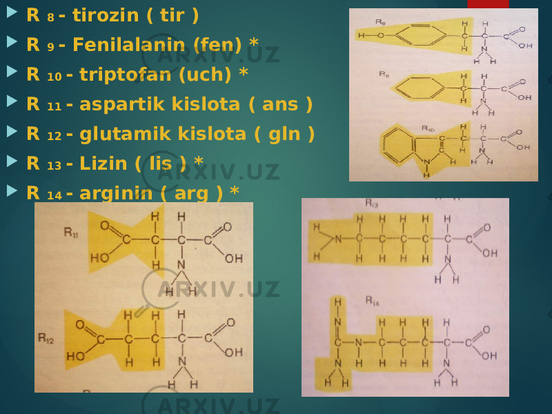  R 8 - tirozin ( tir )  R 9 - Fenilalanin (fen) *  R 10 - triptofan (uch) *  R 11 - aspartik kislota ( ans )  R 12 - glutamik kislota ( gln )  R 13 - Lizin ( lis ) *  R 14 - arginin ( arg ) * 