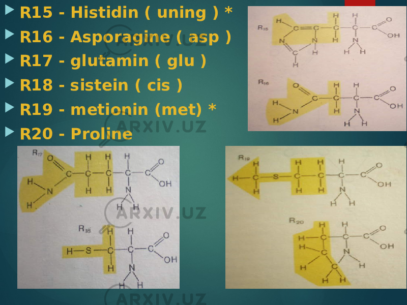  R15 - Histidin ( uning ) *  R16 - Asporagine ( asp )  R17 - glutamin ( glu )  R18 - sistein ( cis )  R19 - metionin (met) *  R20 - Proline (professional) 