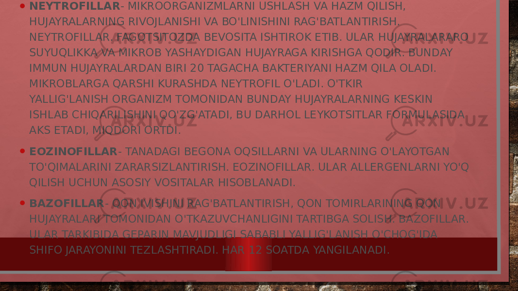 • GRANULOTSITLAR QUYIDAGI HARAKATLARNI BAJARADI: • NEYTROFILLAR - MIKROORGANIZMLARNI USHLASH VA HAZM QILISH, HUJAYRALARNING RIVOJLANISHI VA BO&#39;LINISHINI RAG&#39;BATLANTIRISH. NEYTROFILLAR. FAGOTSITOZDA BEVOSITA ISHTIROK ETIB. ULAR HUJAYRALARARO SUYUQLIKKA VA MIKROB YASHAYDIGAN HUJAYRAGA KIRISHGA QODIR. BUNDAY IMMUN HUJAYRALARDAN BIRI 20 TAGACHA BAKTERIYANI HAZM QILA OLADI. MIKROBLARGA QARSHI KURASHDA NEYTROFIL O&#39;LADI. O&#39;TKIR YALLIG&#39;LANISH ORGANIZM TOMONIDAN BUNDAY HUJAYRALARNING KESKIN ISHLAB CHIQARILISHINI QO&#39;ZG&#39;ATADI, BU DARHOL LEYKOTSITLAR FORMULASIDA AKS ETADI, MIQDORI ORTDI. • EOZINOFILLAR - TANADAGI BEGONA OQSILLARNI VA ULARNING O&#39;LAYOTGAN TO&#39;QIMALARINI ZARARSIZLANTIRISH. EOZINOFILLAR. ULAR ALLERGENLARNI YO&#39;Q QILISH UCHUN ASOSIY VOSITALAR HISOBLANADI. • BAZOFILLAR - QON IVISHINI RAG&#39;BATLANTIRISH, QON TOMIRLARINING QON HUJAYRALARI TOMONIDAN O&#39;TKAZUVCHANLIGINI TARTIBGA SOLISH. BAZOFILLAR. ULAR TARKIBIDA GEPARIN MAVJUDLIGI SABABLI YALLIG&#39;LANISH O&#39;CHOG&#39;IDA SHIFO JARAYONINI TEZLASHTIRADI. HAR 12 SOATDA YANGILANADI. 