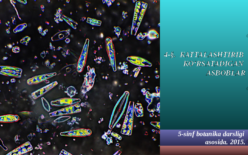 4-§. KATTALASHTIRIB KO‘RSATADIGAN ASBOBLAR 5-sinf botanika darsligi asosida . 201 5. 