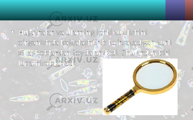 • Hujayralar va ularning ichki tuzilishini o‘rganishda kattalashtirib ko‘rsatadigan turli xil asboblardan foydalaniladi. Shulardan biri lupa hisoblanadi. 