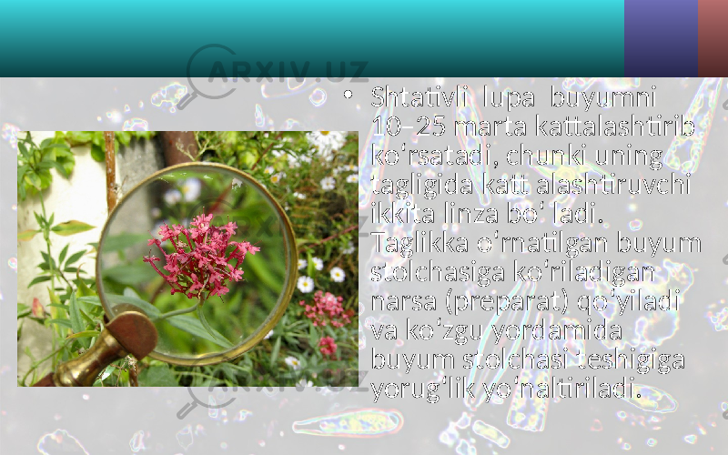 • Shtativli lupa buyumni 10–25 marta kattalashtirib ko‘rsatadi, chunki uning tagligida katt alashtiruvchi ikkita linza bo‘ ladi. Taglikka o‘rnatilgan buyum stolchasiga ko‘riladigan narsa (preparat) qo‘yiladi va ko‘zgu yordamida buyum stolchasi teshigiga yorug‘lik yo‘naltiriladi. 