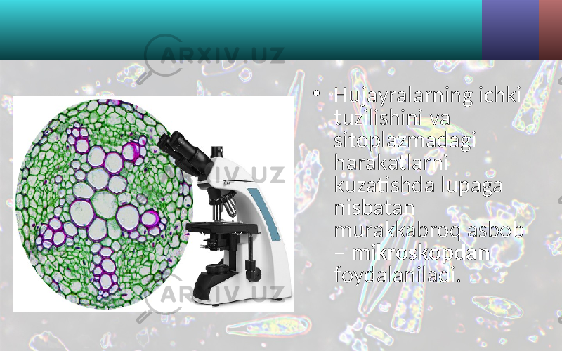 • Hujayralarning ichki tuzilishini va sitoplazmadagi harakatlarni kuzatishda lupaga nisbatan murakkabroq asbob – mikroskopdan foydalaniladi. 