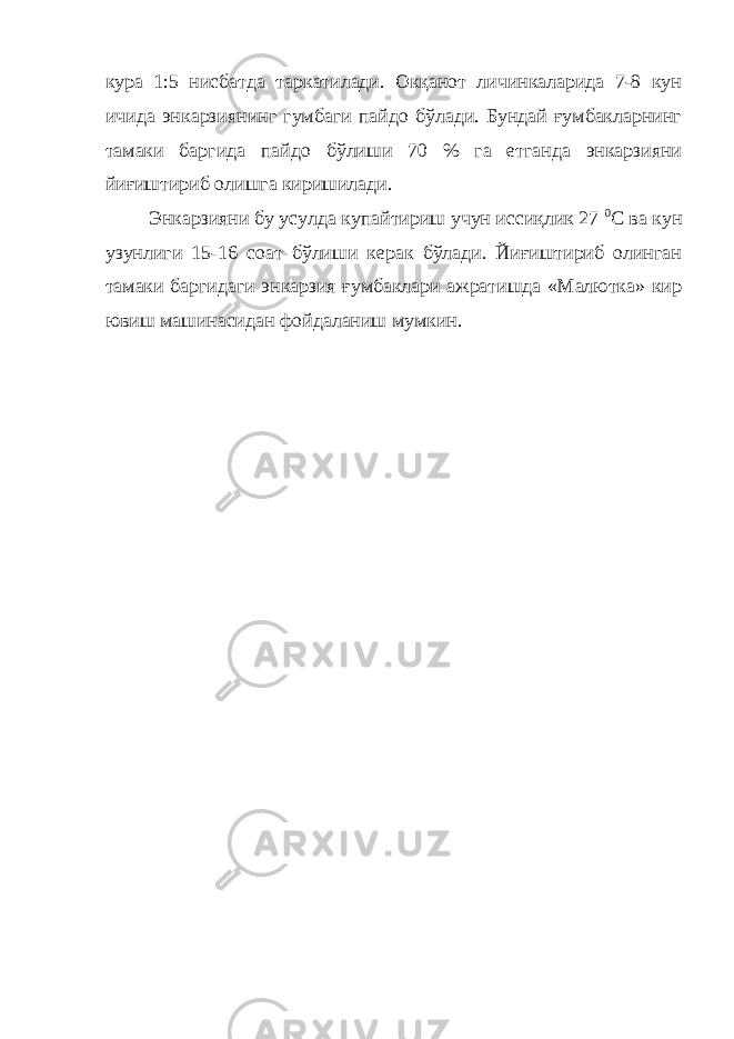 кура 1:5 нисбатда таркатилади. Окқанот личинкаларида 7-8 кун ичида энкарзиянинг гумбаги пайдо бўлади. Бундай ғумбакларнинг тамаки баргида пайдо бўлиши 70 % га етганда энкарзияни йиғиштириб олишга киришилади. Энкарзияни бу усулда купайтириш учун иссиқлик 27 0 С ва кун узунлиги 15-16 соат бўлиши керак бўлади. Йиғиштириб олинган тамаки баргидаги энкарзия ғумбаклари ажратишда «Малютка» кир ювиш машинасидан фойдаланиш мумкин. 