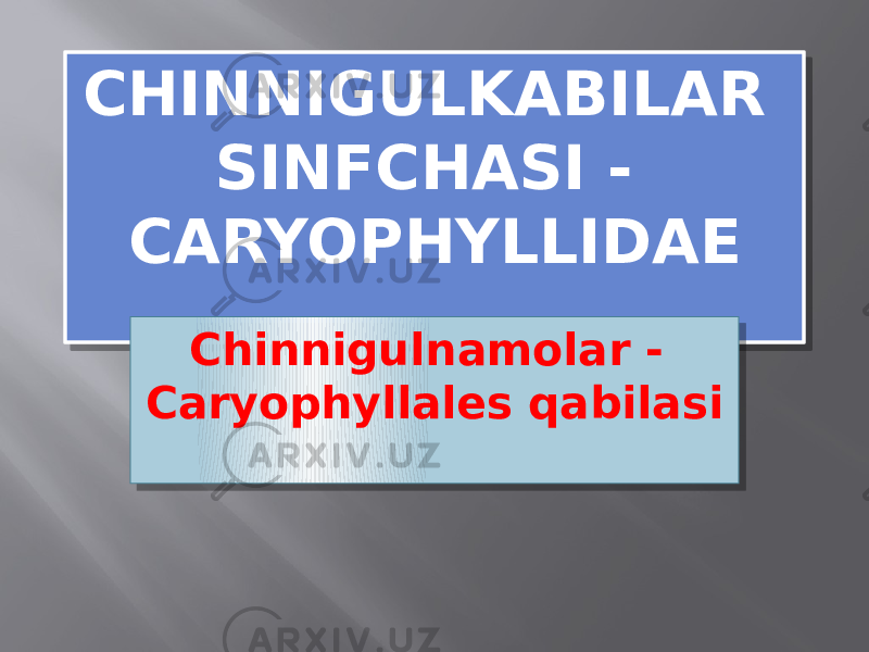 CHINNIGULKABILAR SINFCHASI - CARYOPHYLLIDAE Chinnigulnamolar - Caryophyllales qabilasi010203040403 0D 01 0115161717 011B 