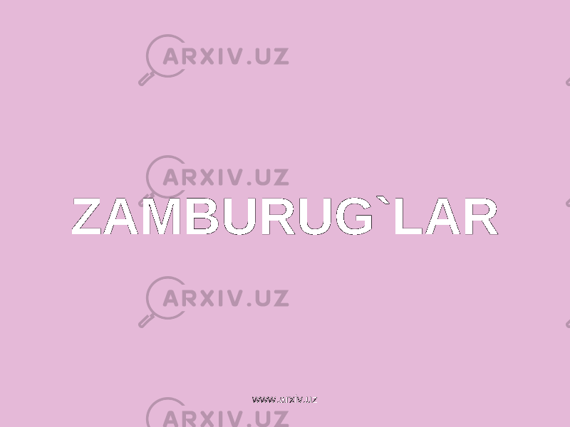 ZAMBURUG`LAR www.arxiv.uz 