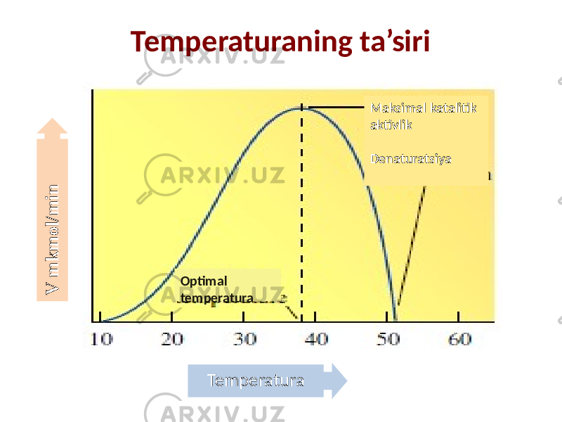 Temperaturaning ta’siri TemperaturaV m k m o l/m inОptimal temperatura Maksimal katalitik aktivlik Denaturatsiya 
