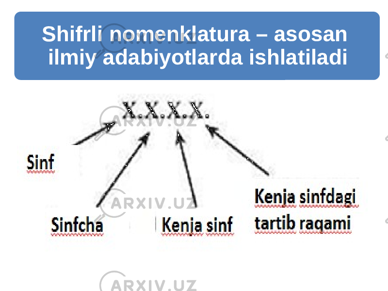 Shifrli nomenklatura – asosan ilmiy adabiyotlarda ishlatiladi 