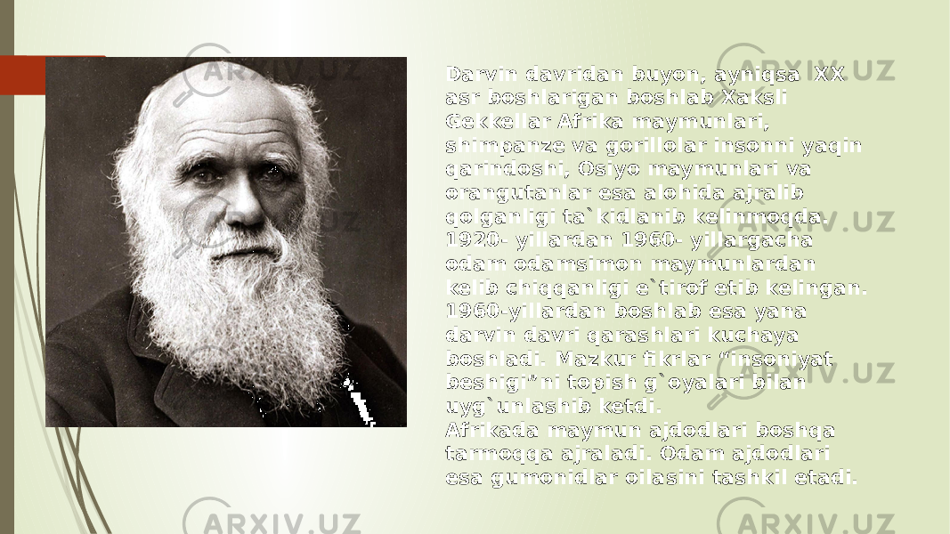 Darvin davridan buyon, ayniqsa XX asr boshlarigan boshlab Xaksli Gekkellar Afrika maymunlari, shimpanze va gorillolar insonni yaqin qarindoshi, Osiyo maymunlari va orangutanlar esa alohida ajralib qolganligi ta`kidlanib kelinmoqda. 1920- yillardan 1960- yillargacha odam odamsimon maymunlardan kelib chiqqanligi e`tirof etib kelingan. 1960-yillardan boshlab esa yana darvin davri qarashlari kuchaya boshladi. Mazkur fikrlar “insoniyat beshigi”ni topish g`oyalari bilan uyg`unlashib ketdi. Afrikada maymun ajdodlari boshqa tarmoqqa ajraladi. Odam ajdodlari esa gumonidlar oilasini tashkil etadi. 