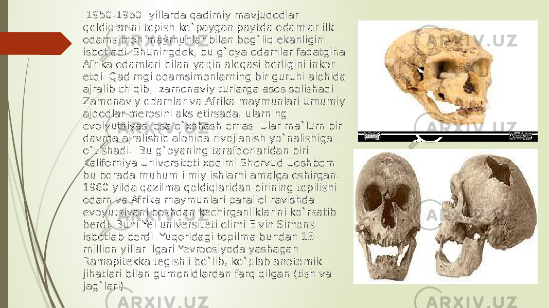  1950-1960 yillarda qadimiy mavjudodlar qoldiqlarini topish ko`paygan paytda odamlar ilk odamsimon maymunlar bilan bog`liq ekanligini isbotladi. Shuningdek, bu g`oya odamlar faqatgina Afrika odamlari bilan yaqin aloqasi borligini inkor etdi. Qadimgi odamsimonlarning bir guruhi alohida ajralib chiqib, zamonaviy turlarga asos solishadi. Zamonaviy odamlar va Afrika maymunlari umumiy ajdodlar merosini aks etirsada, ularning evolyutsiyasi esa o`xshash emas. Ular ma`lum bir davrda ajralishib alohida rivojlanish yo`nalishiga o`tishadi. Bu g`oyaning tarafdorlaridan biri Kaliforniya Universiteti xodimi Shervud Uoshbern bu borada muhum ilmiy ishlarni amalga oshirgan. 1960 yilda qazilma qoldiqlaridan birining topilishi odam va Afrika maymunlari parallel ravishda evoyutsiyani boshdan kechirganliklarini ko`rsatib berdi. Buni Yel universiteti olimi Elvin Simons isbotlab berdi. Yuqoridagi topilma bundan 15- million yillar ilgari Yevroosiyoda yashagan Ramapitekka tegishli bo`lib, ko`plab anotomik jihatlari bilan gumonidlardan farq qilgan (tish va jag`lari). 