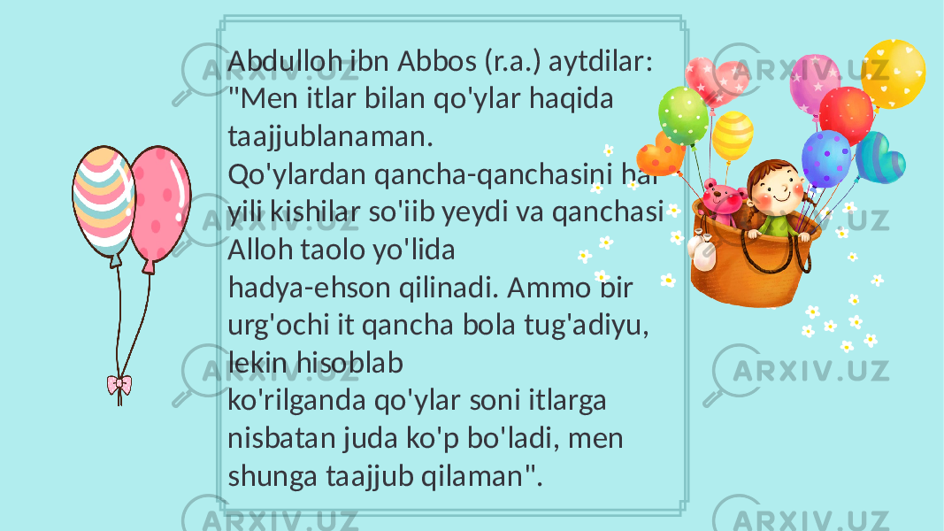 Abdulloh ibn Abbos (r.a.) aytdilar: &#34;Men itlar bilan qo&#39;ylar haqida taajjublanaman. Qo&#39;ylardan qancha-qanchasini har yili kishilar so&#39;iib yeydi va qanchasi Alloh taolo yo&#39;lida hadya-ehson qilinadi. Ammo bir urg&#39;ochi it qancha bola tug&#39;adiyu, lekin hisoblab ko&#39;rilganda qo&#39;ylar soni itlarga nisbatan juda ko&#39;p bo&#39;ladi, men shunga taajjub qilaman&#34;. 