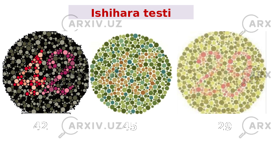 Ishihara testi 42 45 29 